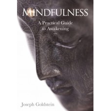 Mindfulness - Six Guided Practices for Awakening. 3 CD set